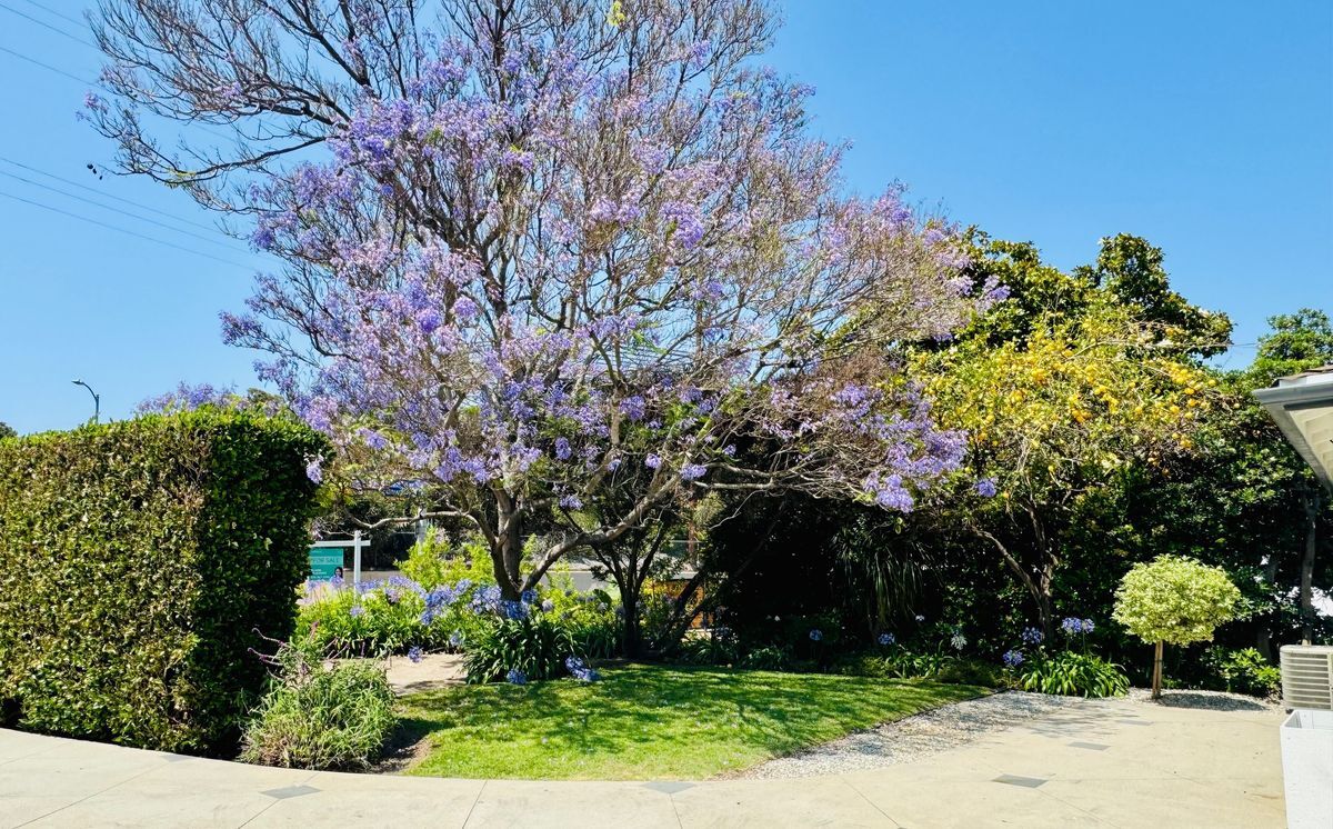 2376 Dewey St, undefined, 2376 Dewey St, Santa Monica, CA 90405, Photo:1