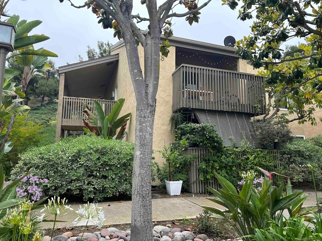 3128 Via Alicante, undefined, 3128 Via Alicante, San Diego, CA 92037, Photo:0