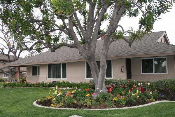 Montclaire Apartments, csuf, 2970 Ruby Dr, Fullerton, CA 92831, Photo:2