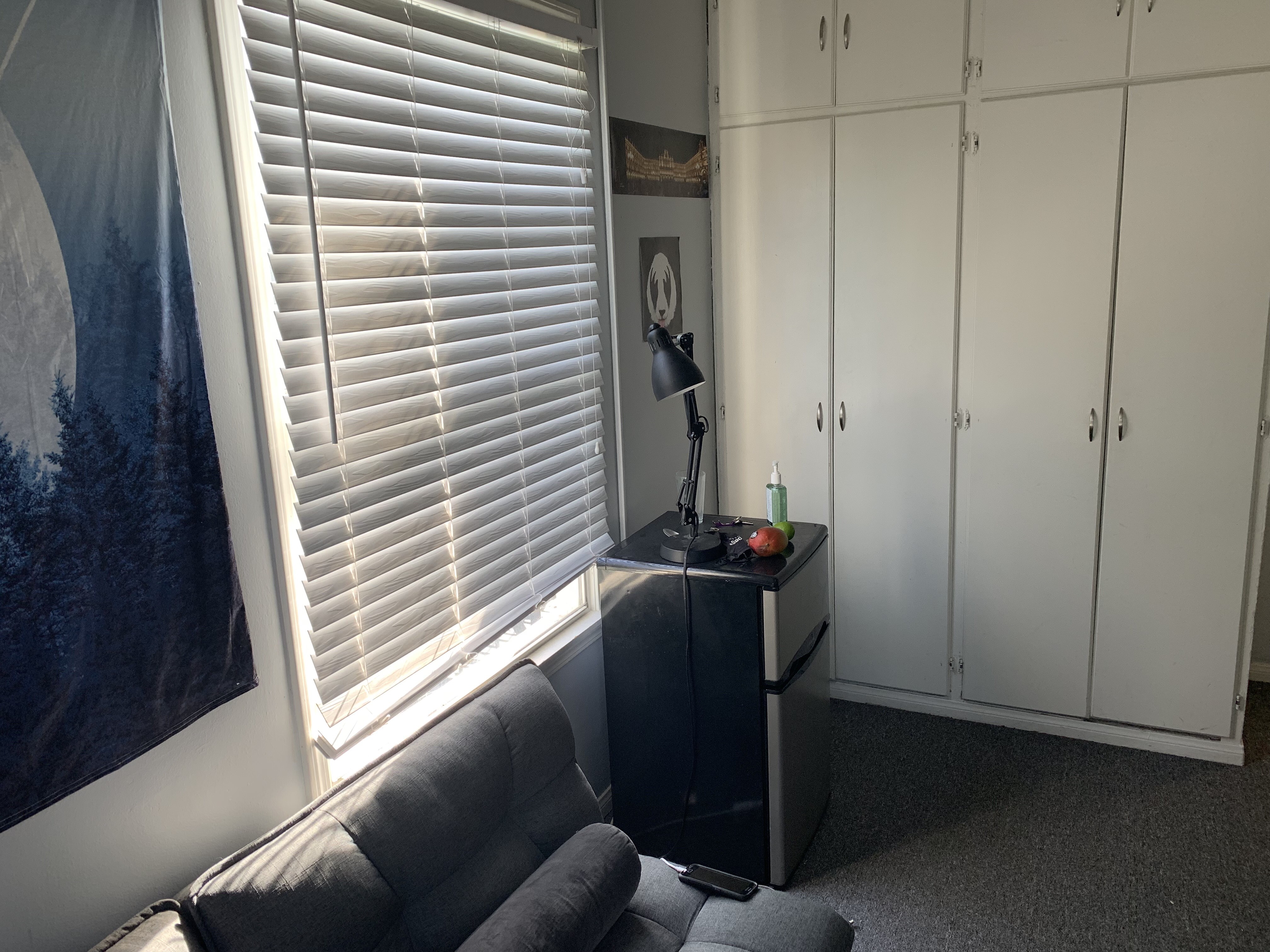 649 Gayley, ucla, 649 Gayley Ave, Los Angeles, CA 90024, USA, Photo:12
