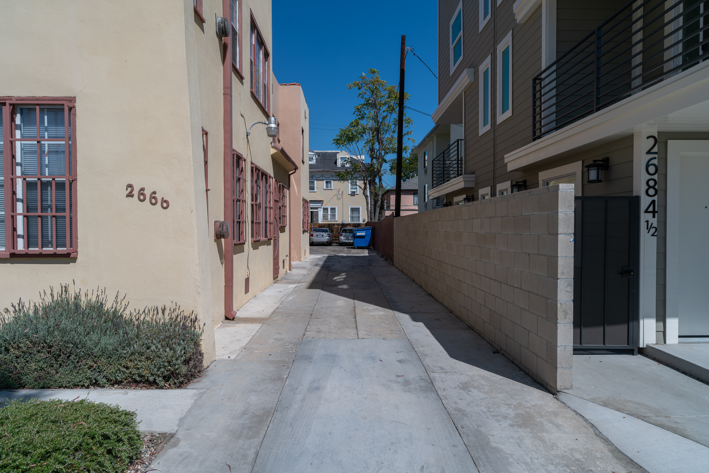 Dos Diablos, usc, 2666 Orchard Ave., Los Angeles, CA 90007, USA, Photo:13