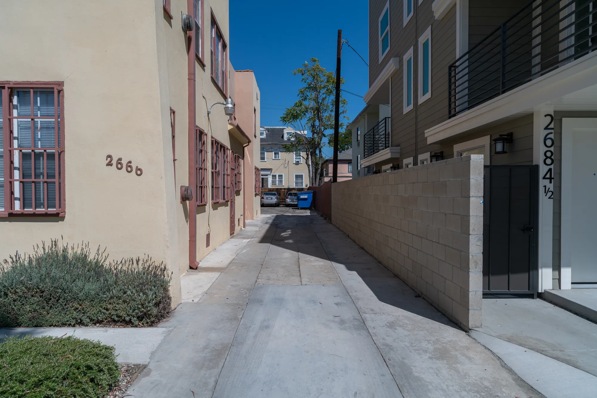 Dos Diablos, undefined, 2666 Orchard Ave., Los Angeles, CA 90007, USA, Photo:13