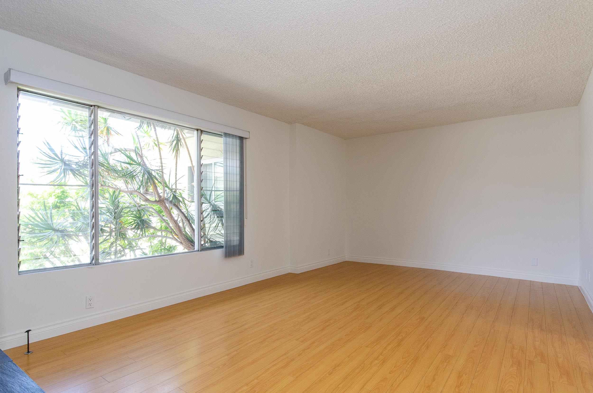 1829 Corinth, ucla, 1829 Corinth Ave, Los Angeles, CA 90025, USA, Photo:1