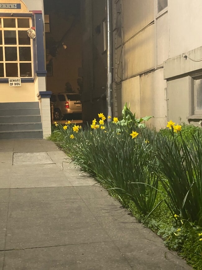 2345 Fulton St, undefined, 2345 Fulton St, Berkeley, CA 94704, Photo:1