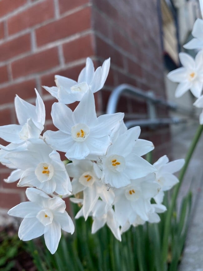 2345 Fulton St, undefined, 2345 Fulton St, Berkeley, CA 94704, Photo:2