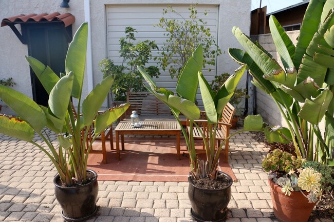 3819 Beethoven St, undefined, 3819 Beethoven St, Los Angeles, CA 90066, Photo:4