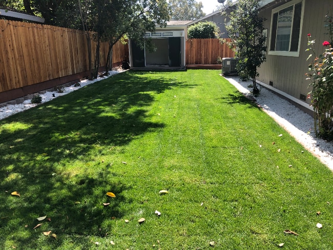 906 Sycamore Ln, undefined, 906 Sycamore Ln, Davis, CA 95616, Photo:2