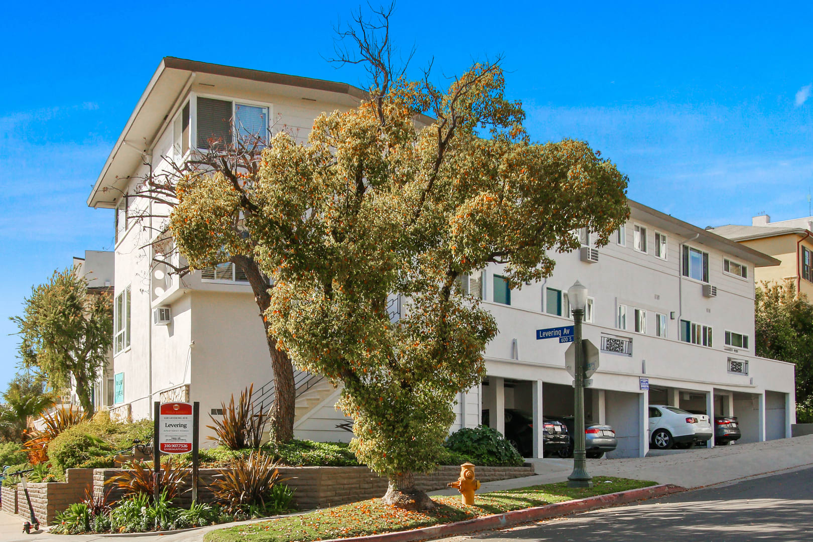 Levering Apartments, ucla, 628 Levering Ave, Los Angeles, CA 90024, USA, Photo:0