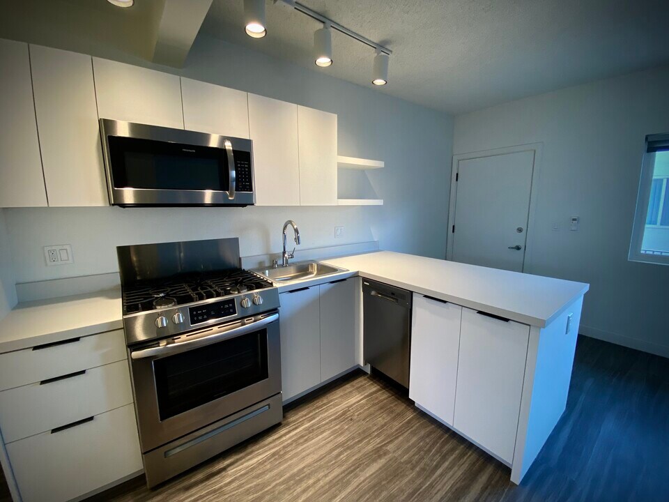Santa Monica Palms, smc, 2501 Pico Blvd, Santa Monica, CA 90405, Photo:10