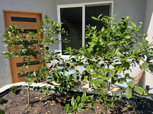 1827 16th St, undefined, 1827 16th St, Santa Monica, CA 90404, Photo:2