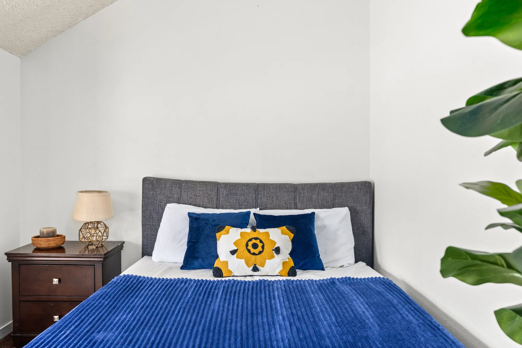 1823 Pelham, undefined, 1823 Pelham Ave, Los Angeles, CA 90024, USA, Photo:73