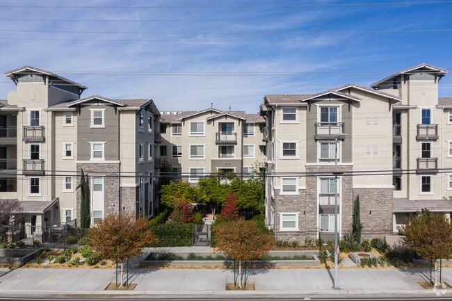 Alder, csun, 19401 Parthenia St, Northridge, CA 91324, Photo:1