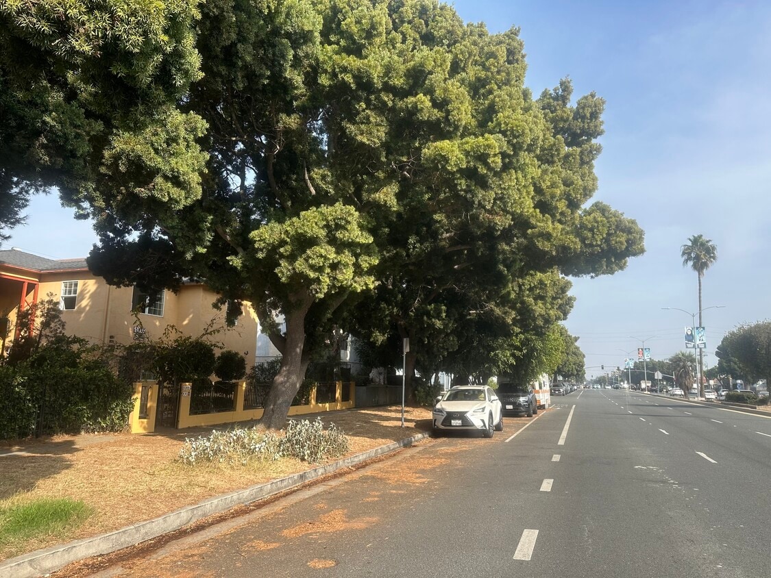 13011 Venice Blvd, undefined, 13011 Venice Blvd, Los Angeles, CA 90066, Photo:0