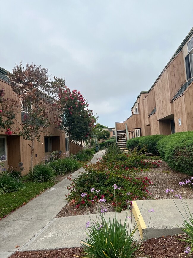 6779 Rosefield Dr, undefined, 6779 Rosefield Dr, San Diego, CA 92115, Photo:5