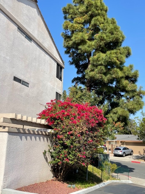 6194 Agee St, undefined, 6194 Agee St, San Diego, CA 92122, Photo:1