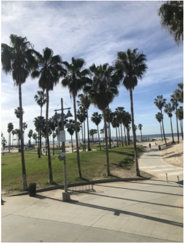1313 Ocean Front Walk, undefined, 1313 Ocean Front Walk, Venice, CA 90291, Photo:3