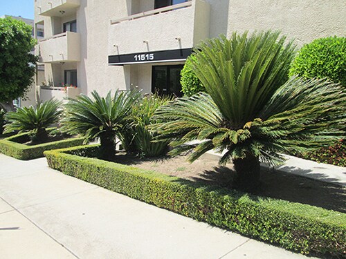 11515 Rochester Ave, undefined, 11515 Rochester Ave, Los Angeles, CA 90025, Photo:0