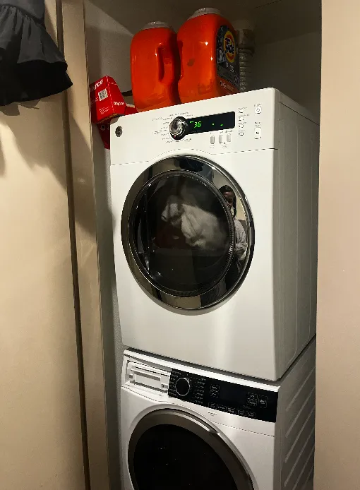 Village Lofts , ucla, 11024 Strathmore Dr, Los Angeles, CA 90024, USA, Photo:3