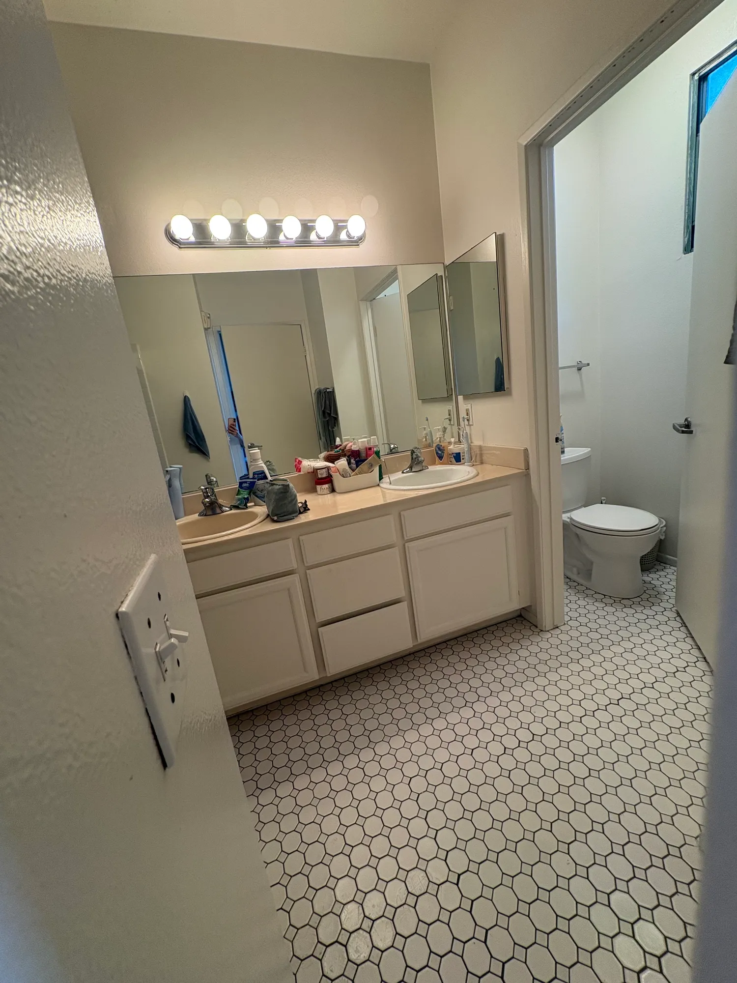 Veteran Terrace, ucla, 640 Veteran Ave, Los Angeles, CA 90024, USA, Photo:5