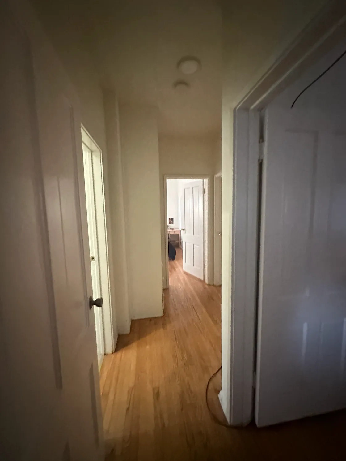 Single at 471 Landfair, ucla, 471 Landfair Ave, Los Angeles, CA 90024, USA, Photo:1