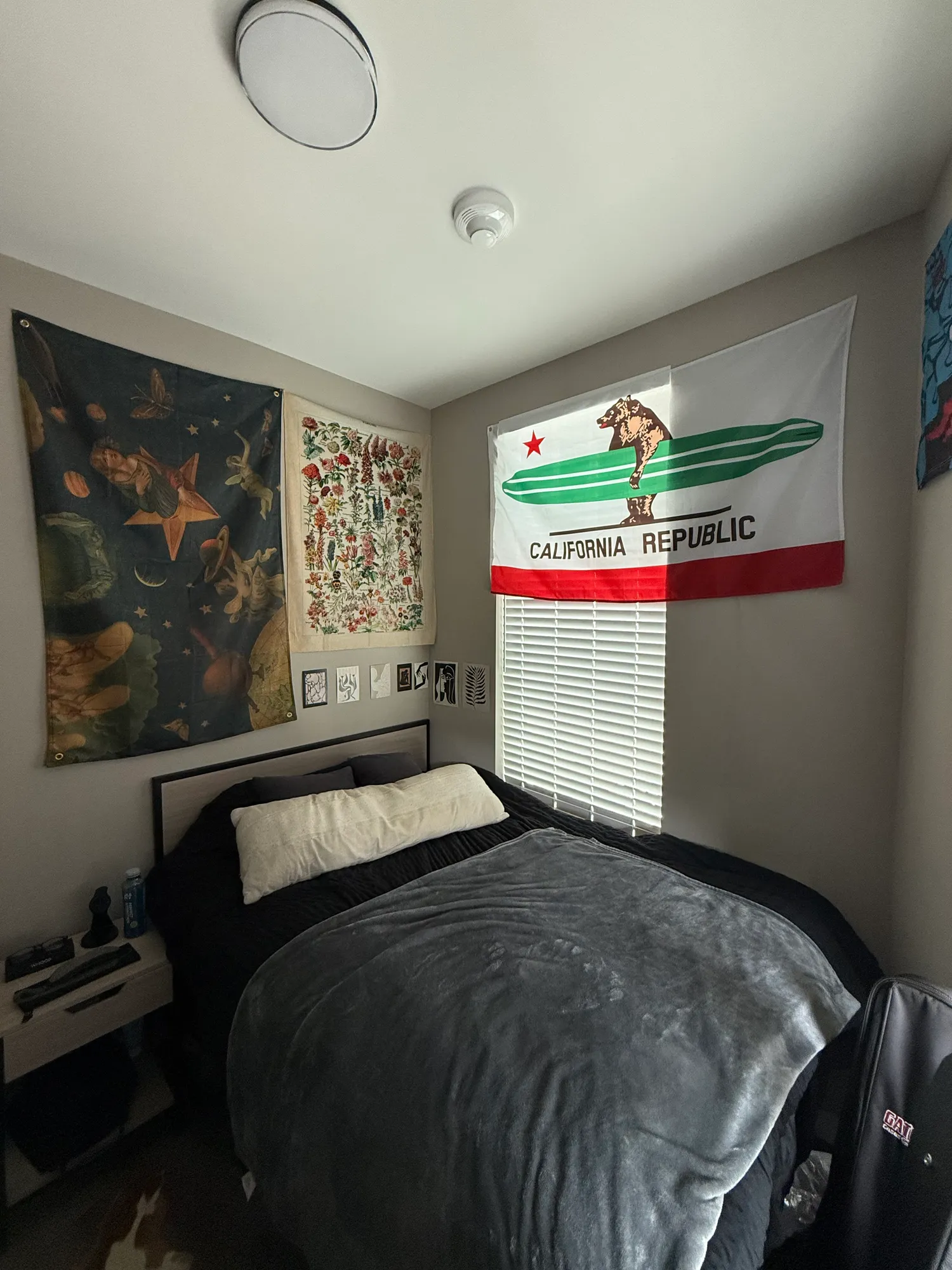 Single at The Mark, June to August Sublease, ucla, 10915 Strathmore Dr, Los Angeles, CA 90024, USA, Photo:2