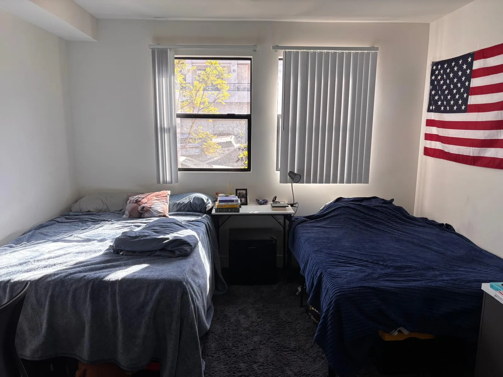 Single/Double for a Guy , ucla, 540 Landfair Ave, Los Angeles, CA 90024, USA, Photo:3