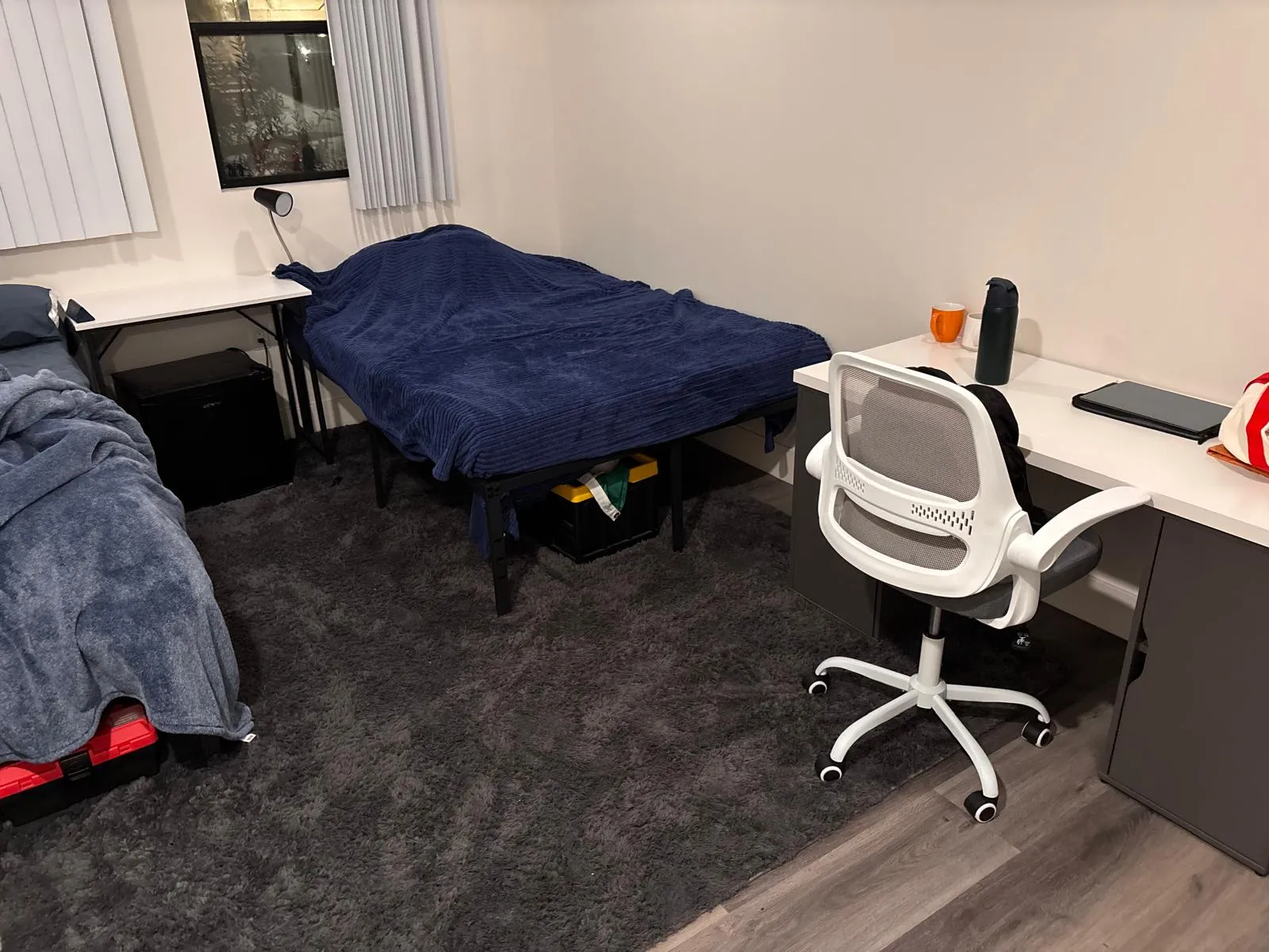 Single/Double for a Guy , ucla, 540 Landfair Ave, Los Angeles, CA 90024, USA, Photo:2