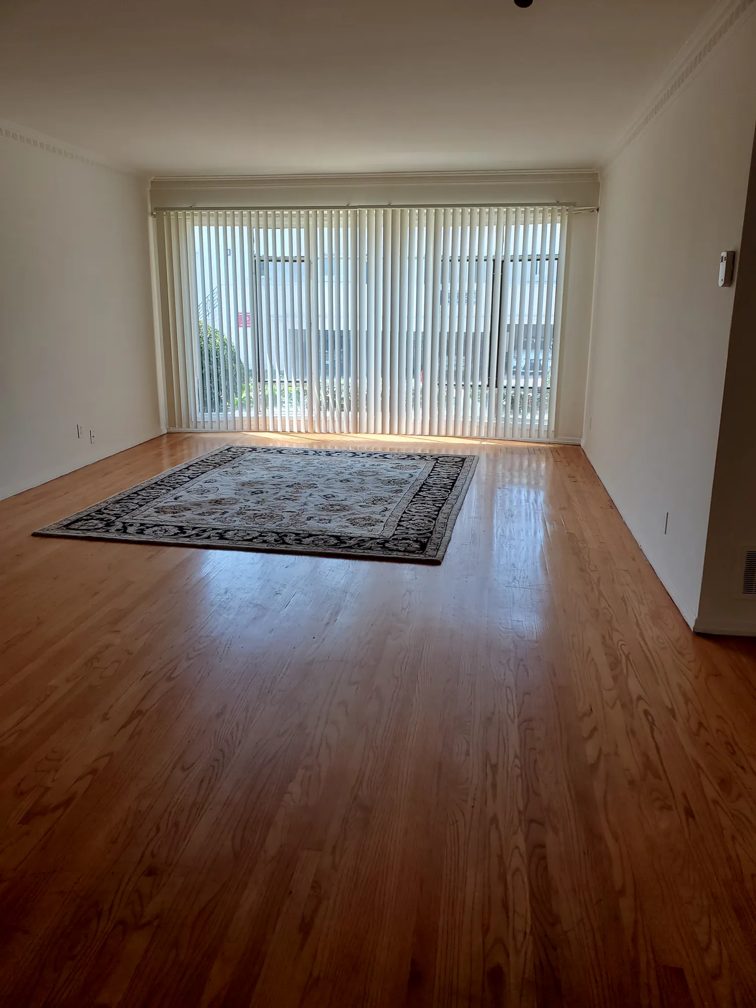 556 Midvale Avenue , ucla, 556 Midvale Ave, Los Angeles, CA 90024, USA