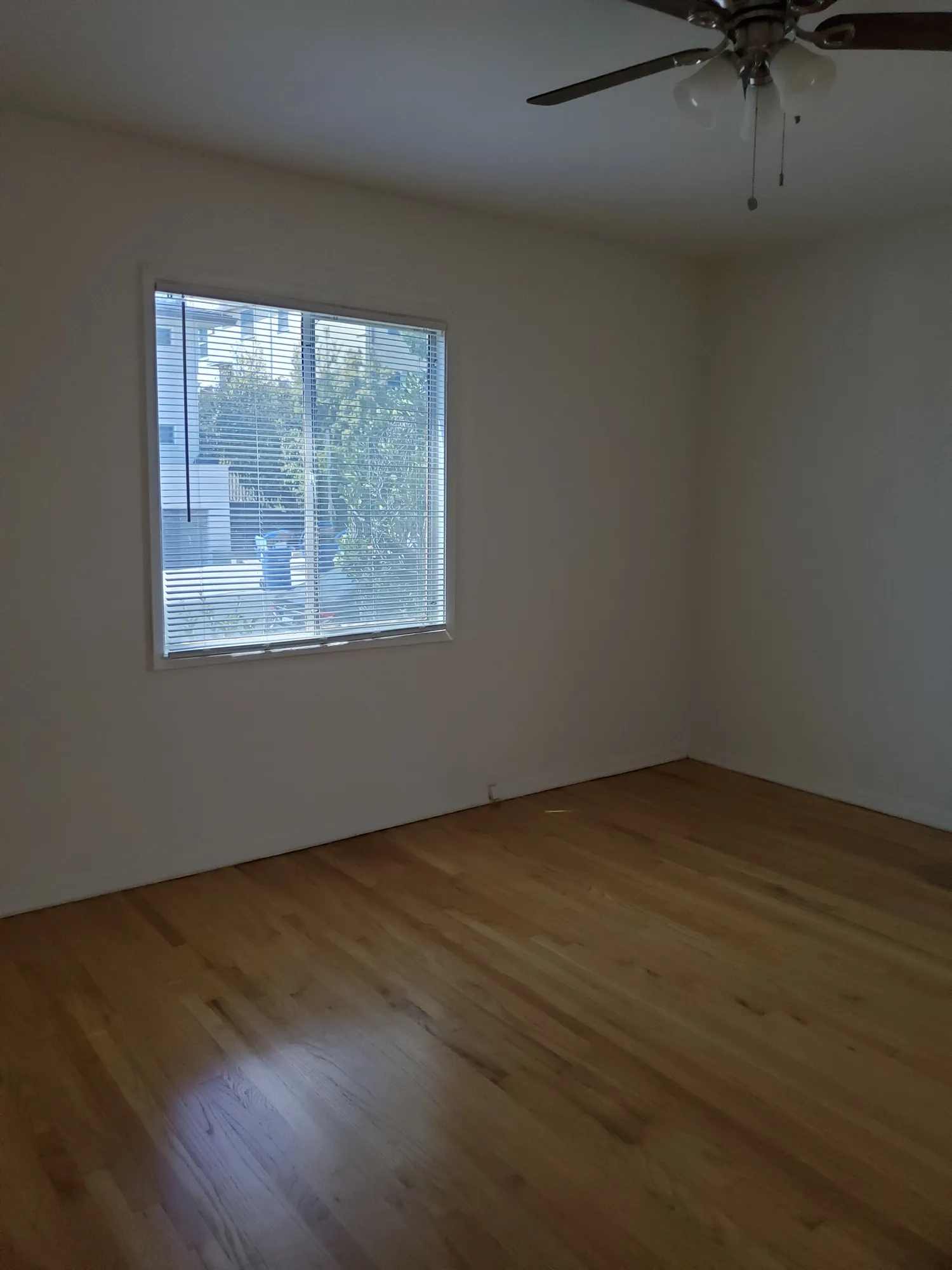 556 Midvale Avenue , ucla, 556 Midvale Ave, Los Angeles, CA 90024, USA, Photo:2