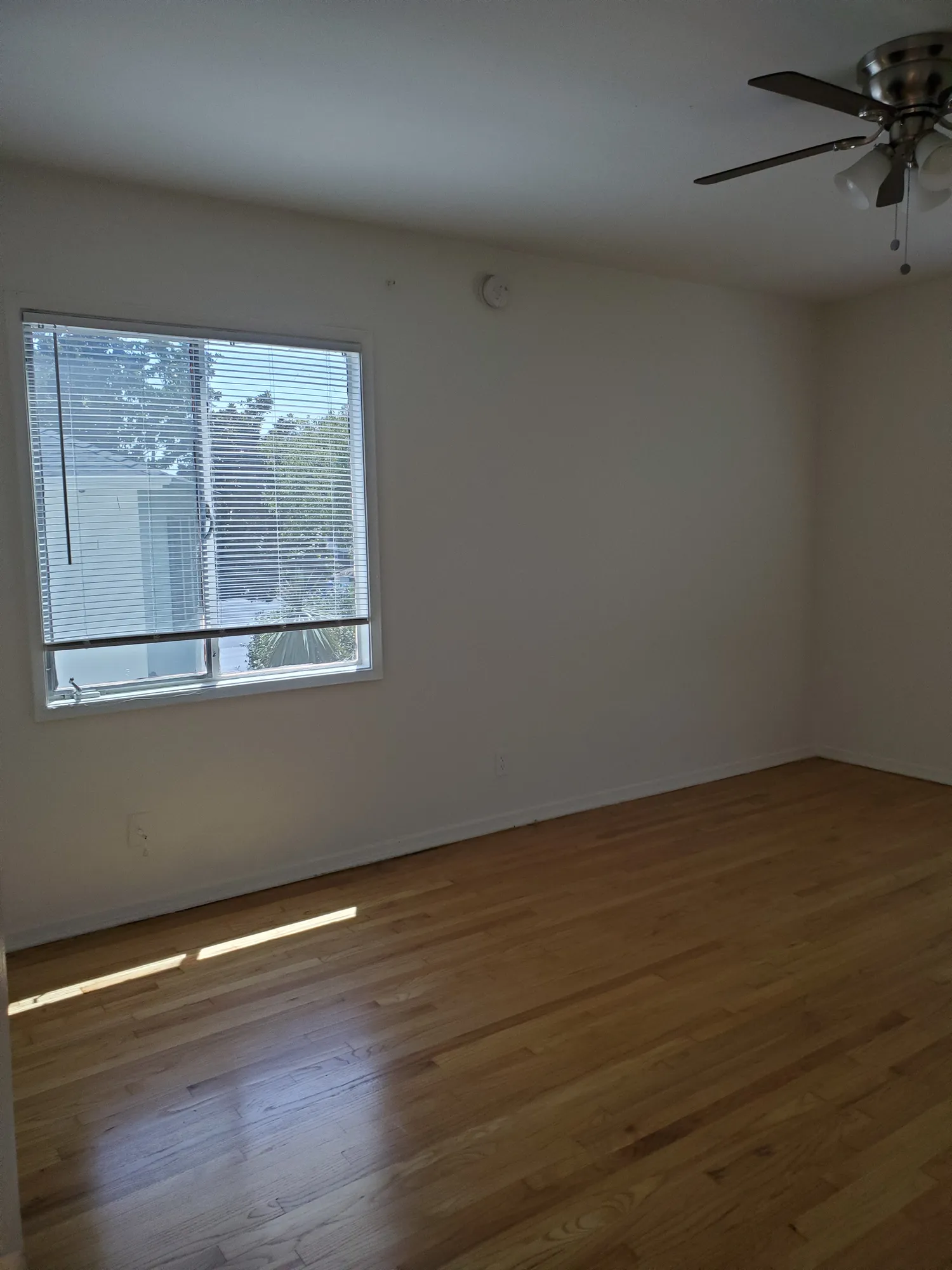 556 Midvale Avenue , ucla, 556 Midvale Ave, Los Angeles, CA 90024, USA, Photo:8