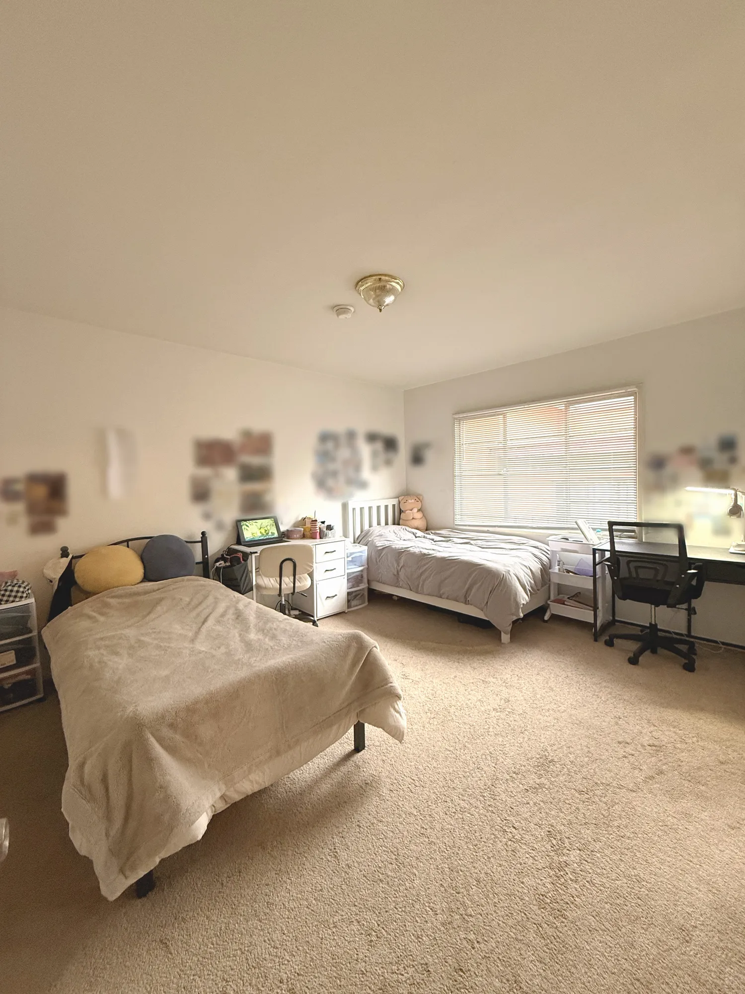 Summer Sublet, ucla, Roebling Ave, Los Angeles, CA 90024, USA, Photo:1