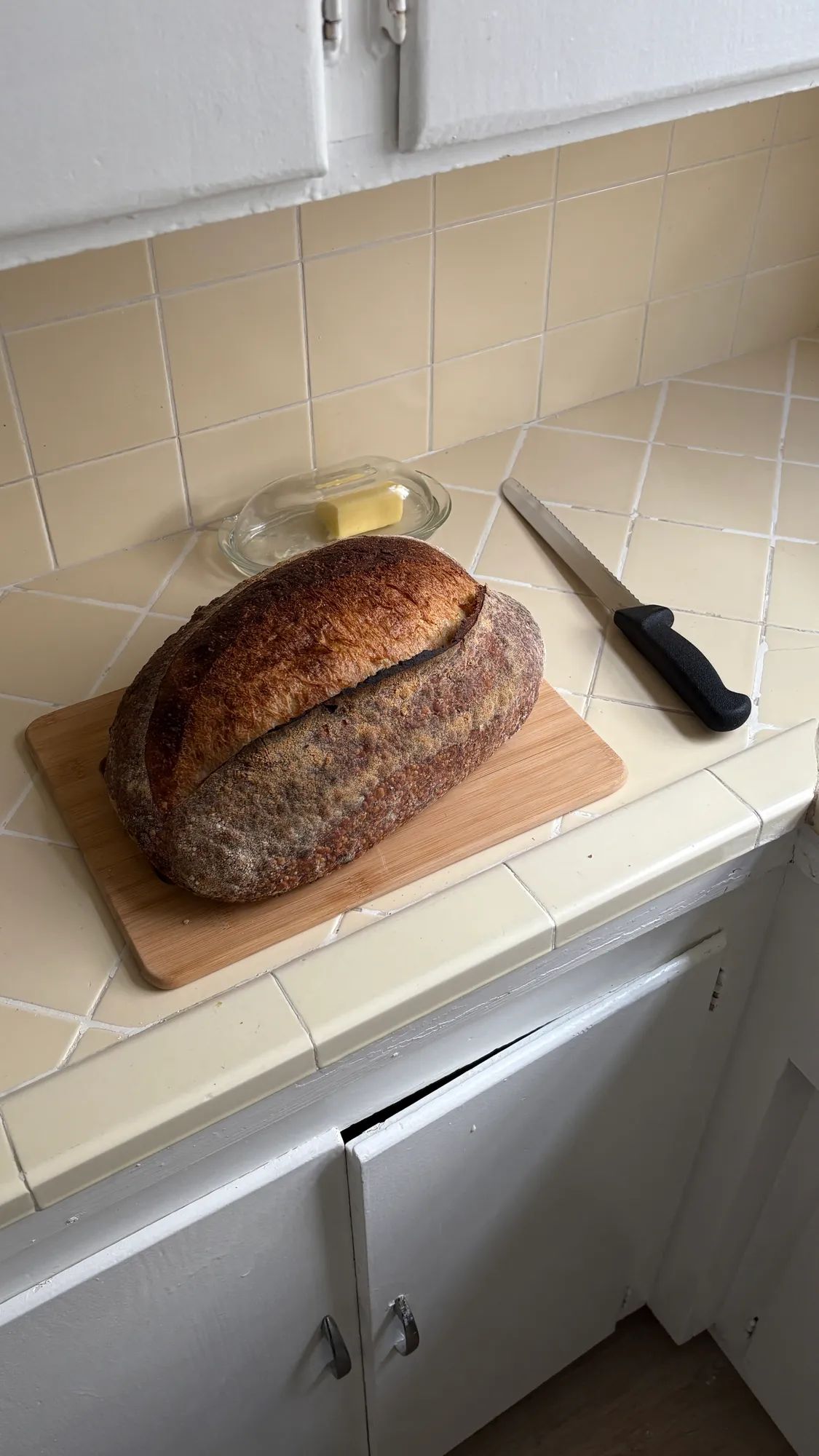 1 Bedroom (Shared) Apartment, ucla, 618 Midvale Ave, Los Angeles, CA 90024, USA, Photo:6