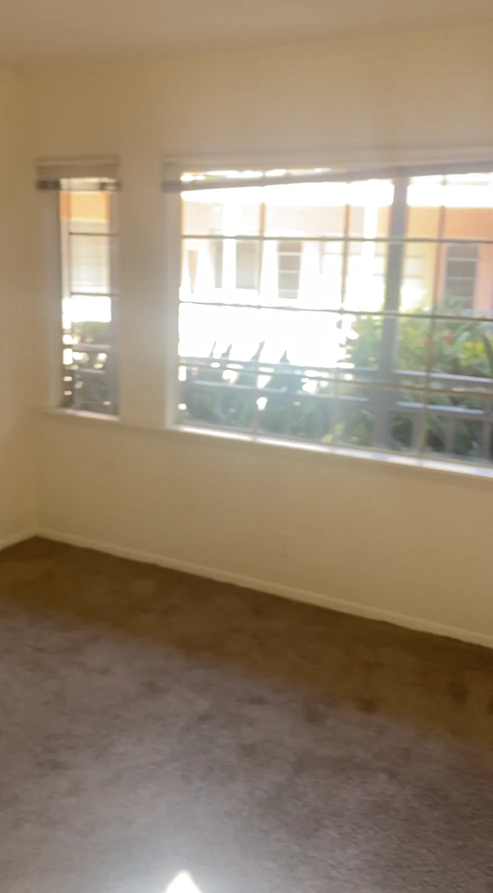 July + August Room Available, ucla, 671 Landfair Ave, Los Angeles, CA 90024, USA, Photo:4