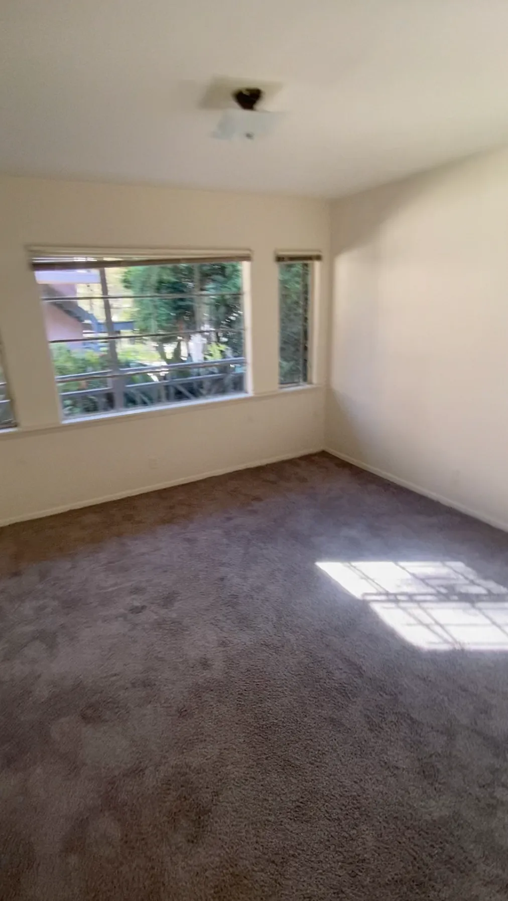 July + August Room Available, ucla, 671 Landfair Ave, Los Angeles, CA 90024, USA