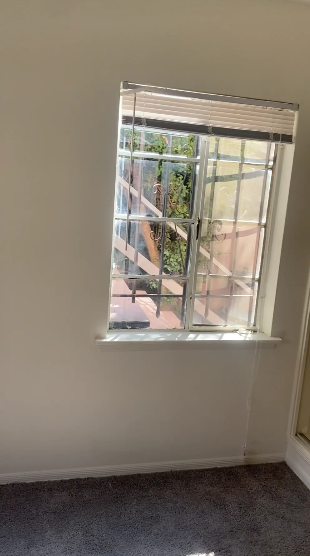 July + August Room Available, ucla, 671 Landfair Ave, Los Angeles, CA 90024, USA, Photo:2