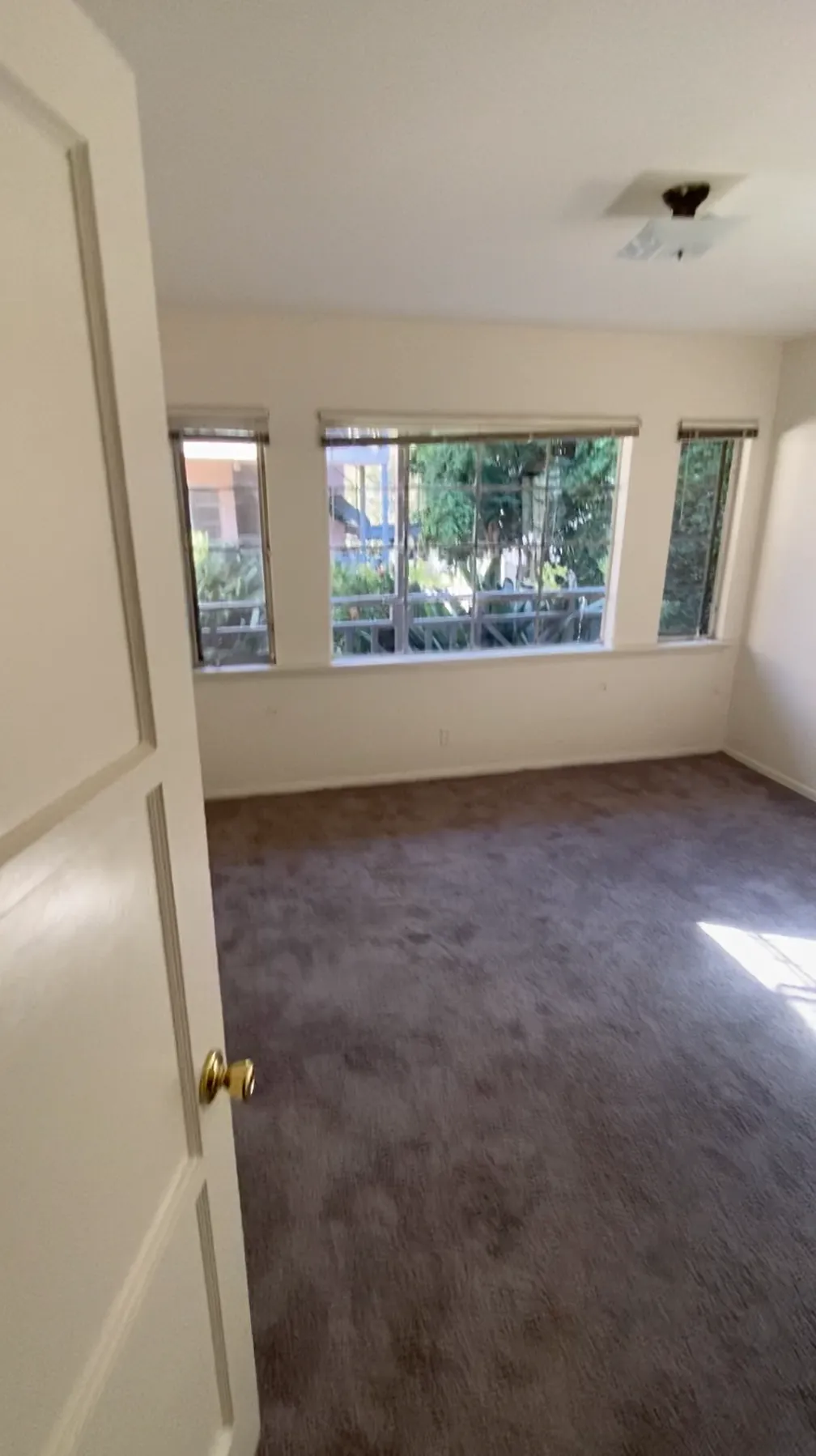 July + August Room Available, ucla, 671 Landfair Ave, Los Angeles, CA 90024, USA, Photo:1