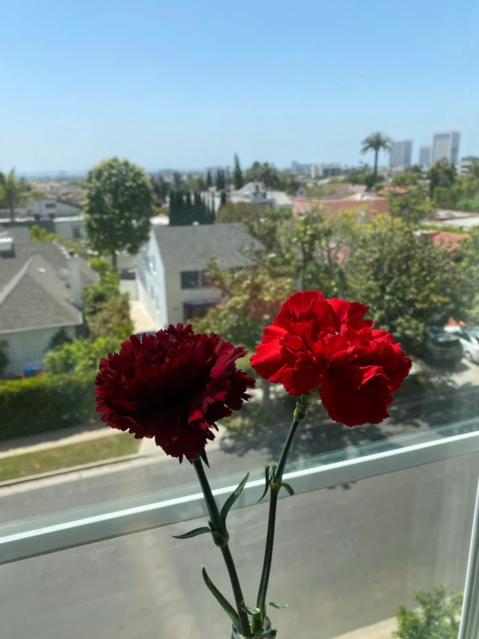 The Wilshire Villa, ucla, 10811 Ashton Ave, Los Angeles, CA 90024, USA, Photo:8