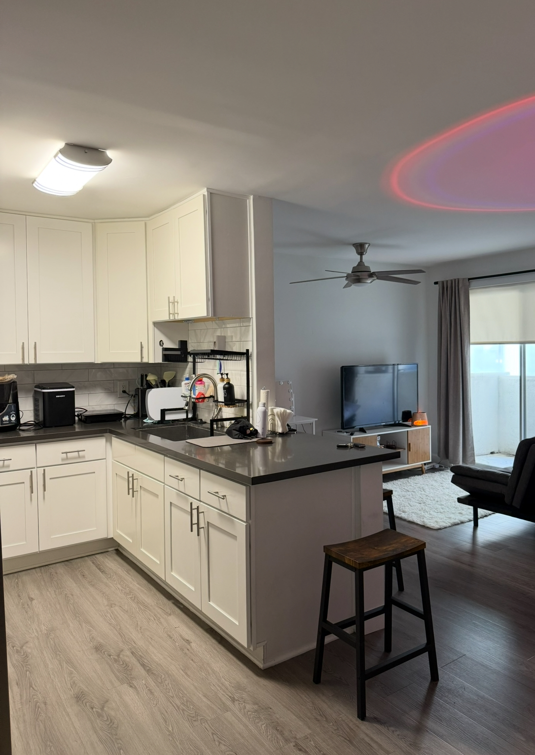 Studio Apartment, ucla, 870 Hilgard Ave, Los Angeles, CA 90024, USA, Photo:3