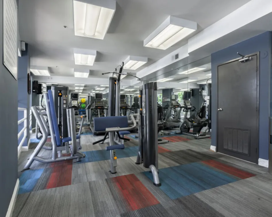 Summer Sublease 2bed 2bath, ucla, 540 Midvale Ave, Los Angeles, CA 90024, USA, Photo:4