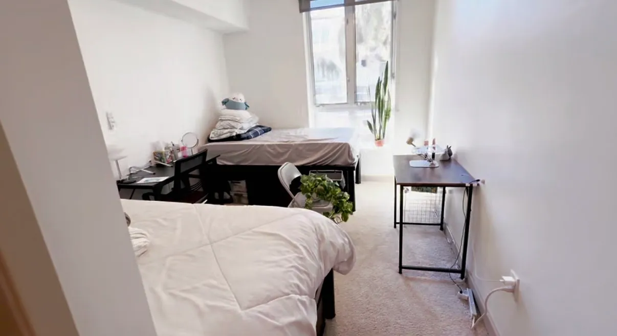 Village Lofts, ucla, 11024 Strathmore Dr, Los Angeles, CA 90024, USA, Photo:8